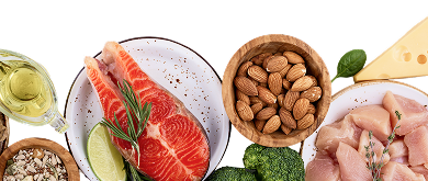 Alimentos ricos em proteína